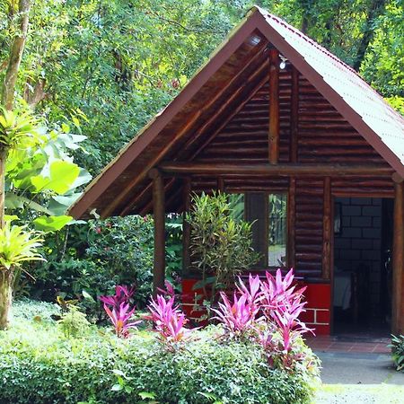 Arenal Oasis Eco Lodge & Wildlife Refuge La Fortuna Dış mekan fotoğraf