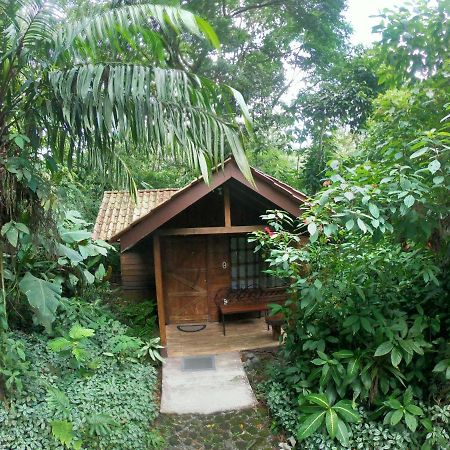 Arenal Oasis Eco Lodge & Wildlife Refuge La Fortuna Dış mekan fotoğraf