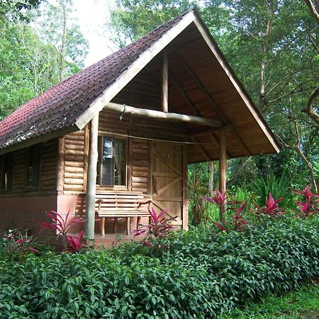 Arenal Oasis Eco Lodge & Wildlife Refuge La Fortuna Dış mekan fotoğraf