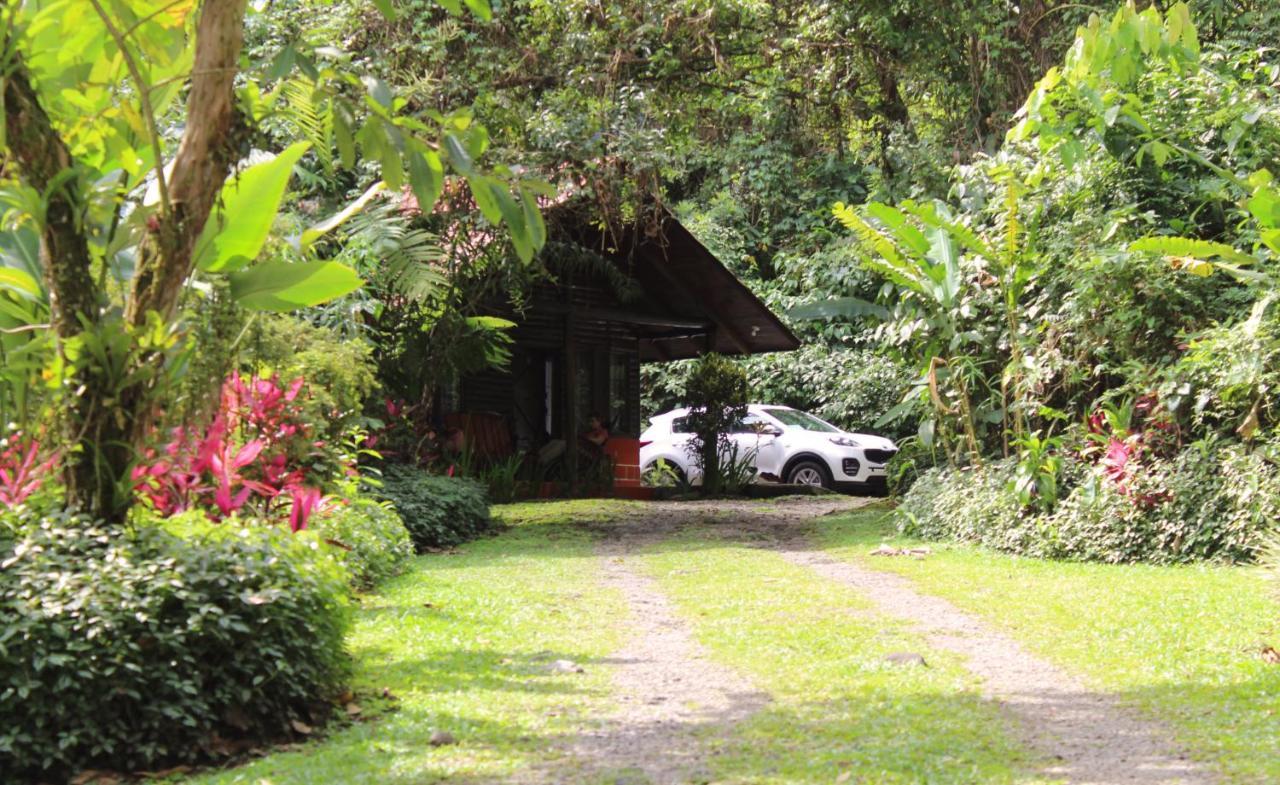 Arenal Oasis Eco Lodge & Wildlife Refuge La Fortuna Dış mekan fotoğraf