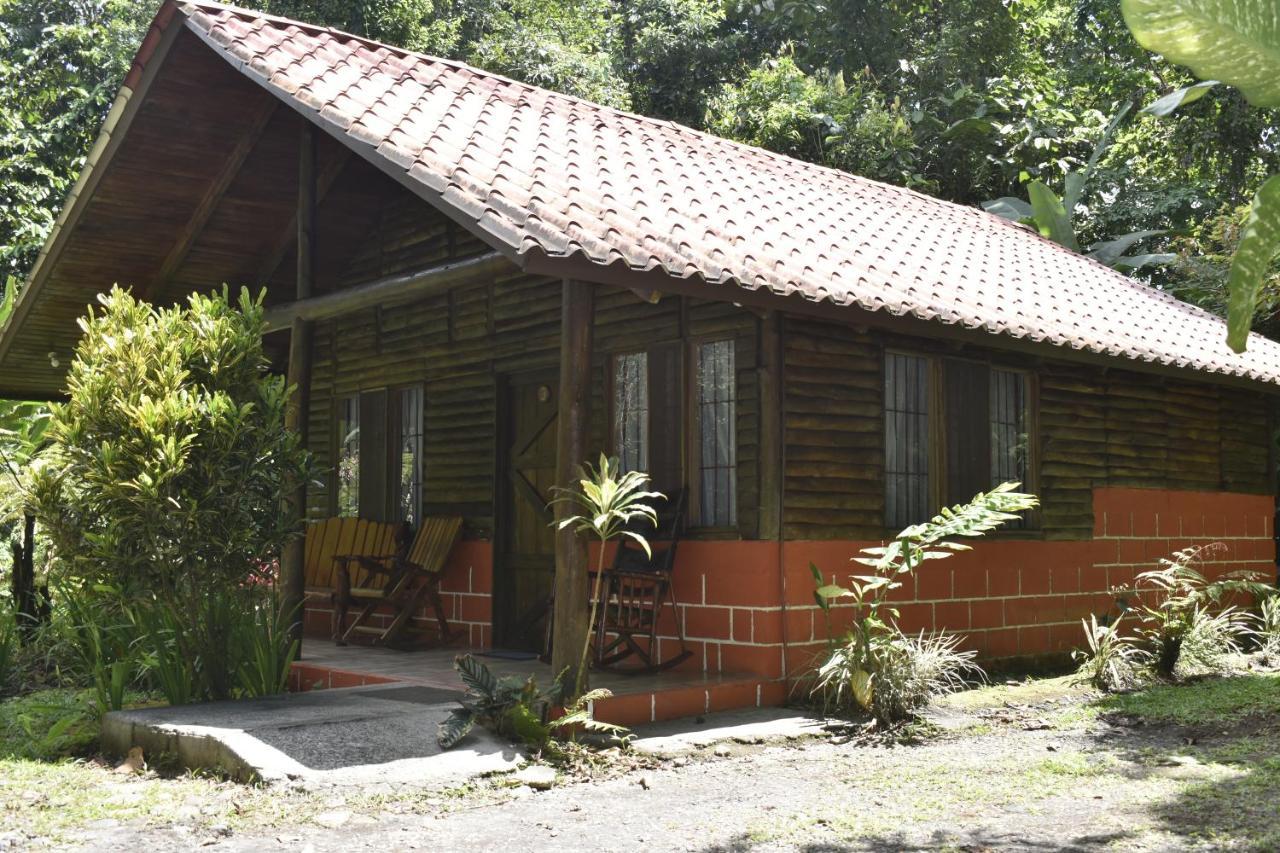 Arenal Oasis Eco Lodge & Wildlife Refuge La Fortuna Dış mekan fotoğraf