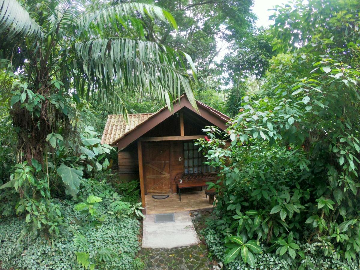 Arenal Oasis Eco Lodge & Wildlife Refuge La Fortuna Dış mekan fotoğraf