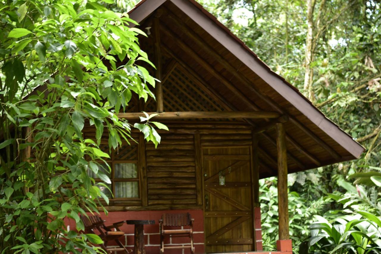 Arenal Oasis Eco Lodge & Wildlife Refuge La Fortuna Dış mekan fotoğraf