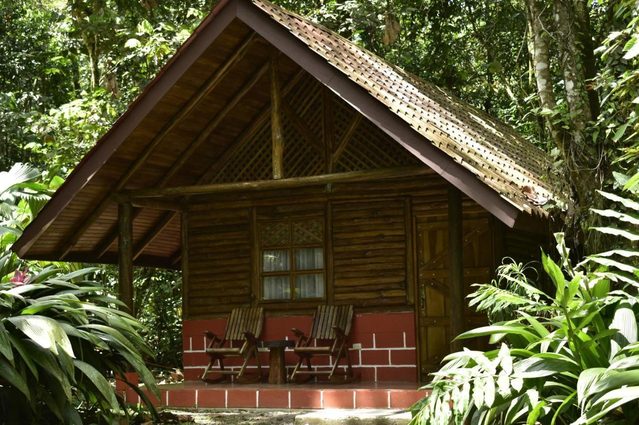 Arenal Oasis Eco Lodge & Wildlife Refuge La Fortuna Dış mekan fotoğraf
