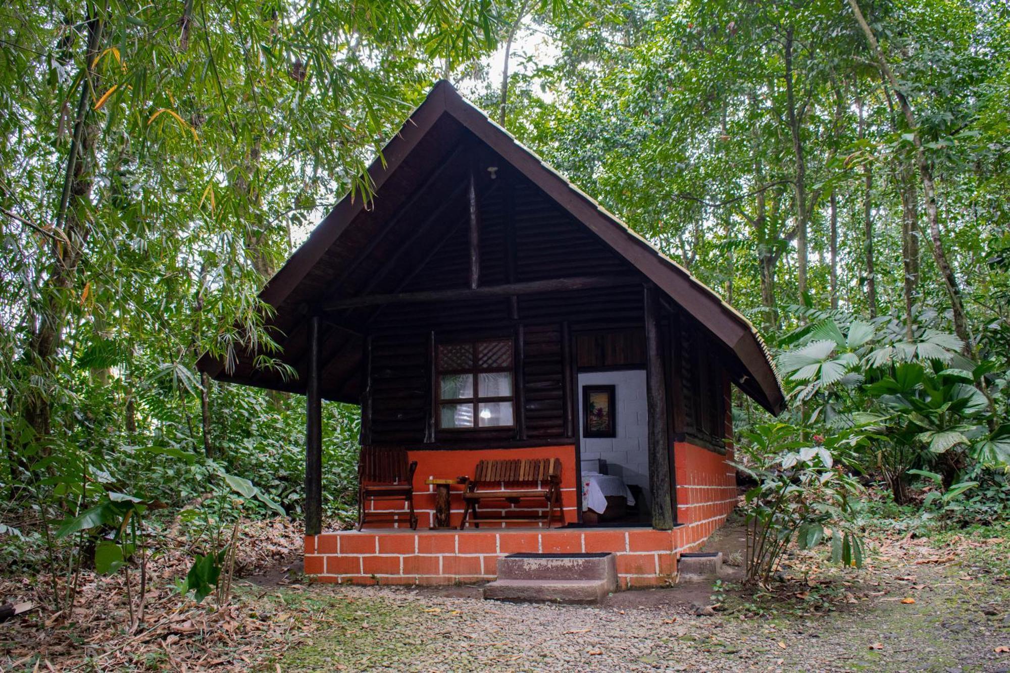 Arenal Oasis Eco Lodge & Wildlife Refuge La Fortuna Dış mekan fotoğraf