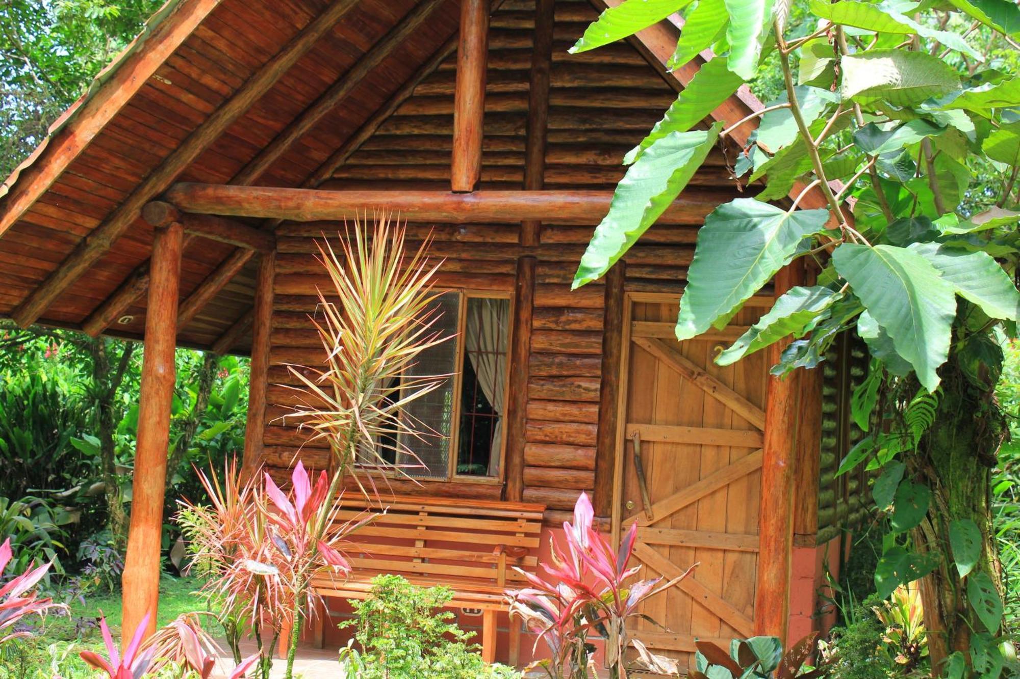 Arenal Oasis Eco Lodge & Wildlife Refuge La Fortuna Dış mekan fotoğraf