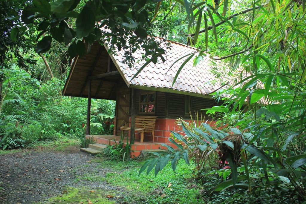 Arenal Oasis Eco Lodge & Wildlife Refuge La Fortuna Oda fotoğraf