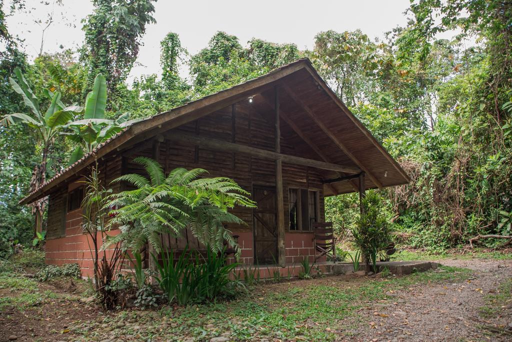 Arenal Oasis Eco Lodge & Wildlife Refuge La Fortuna Dış mekan fotoğraf