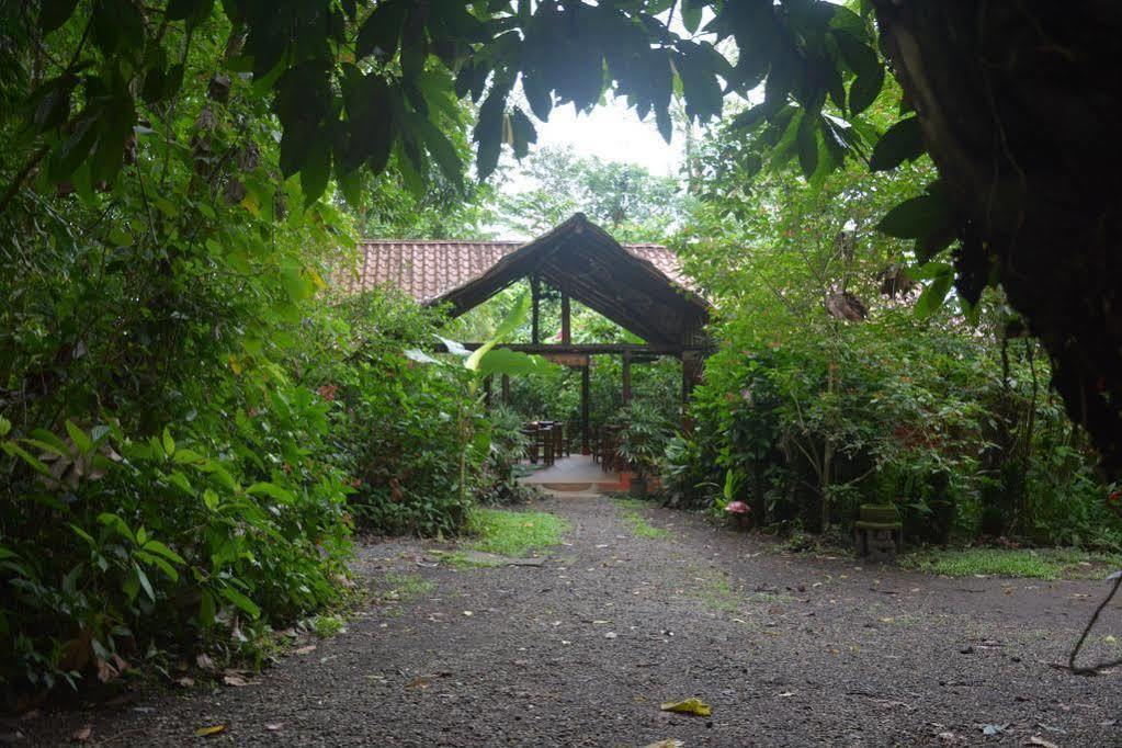 Arenal Oasis Eco Lodge & Wildlife Refuge La Fortuna Dış mekan fotoğraf